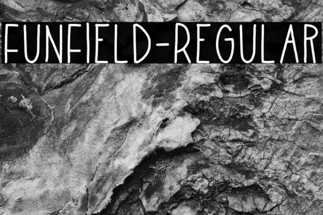 FunField-Regular Font examples