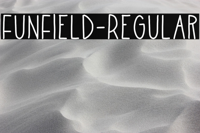 FunField-Regular Example 2