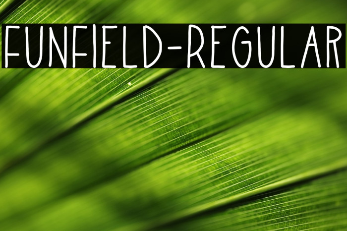 FunField-Regular Example 3