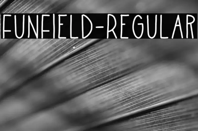 FunField-Regular Font examples
