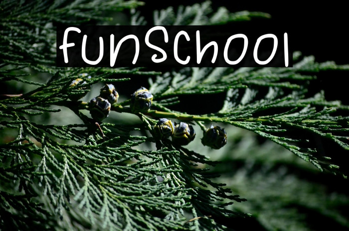 FunSchool Example 3
