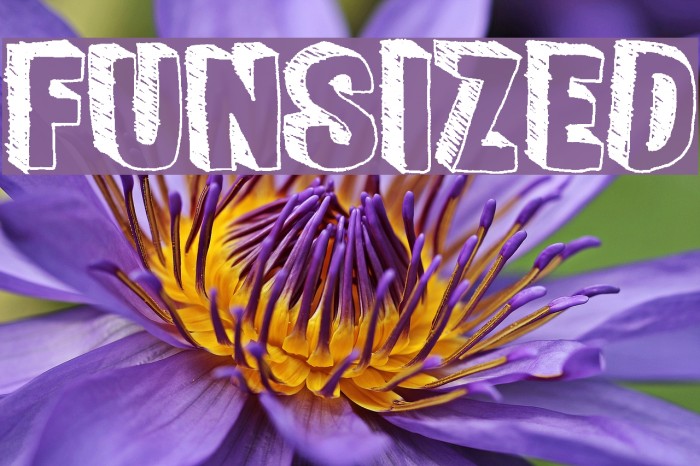 FunSized Font examples