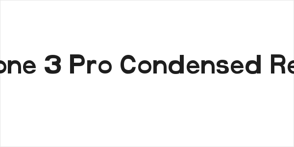 FunZone 3 Pro Condensed Regular Logo