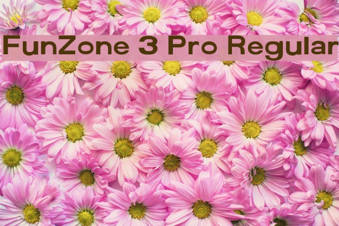 FunZone 3 Pro Regular Font examples