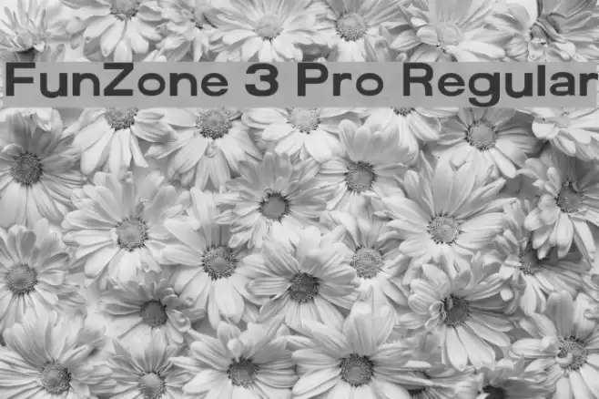 FunZone 3 Pro Regular フォント examples