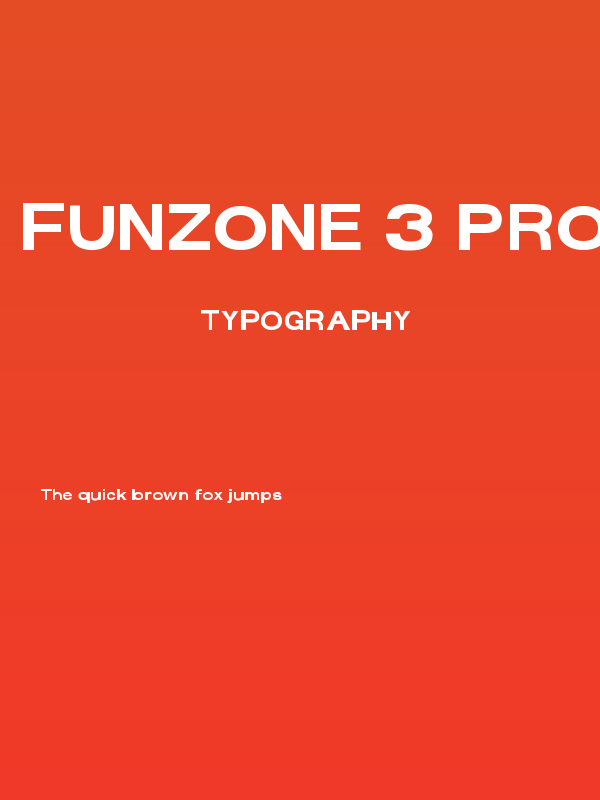 FunZone 3 Pro Regular Poster