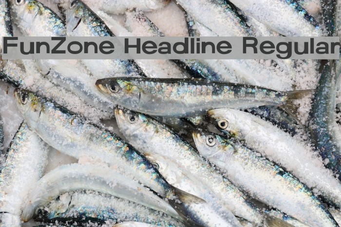 FunZone Headline Regular Font examples