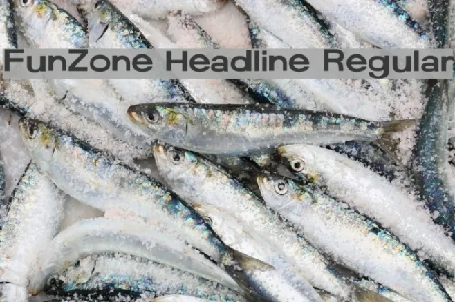 FunZone Headline Regular Example 2