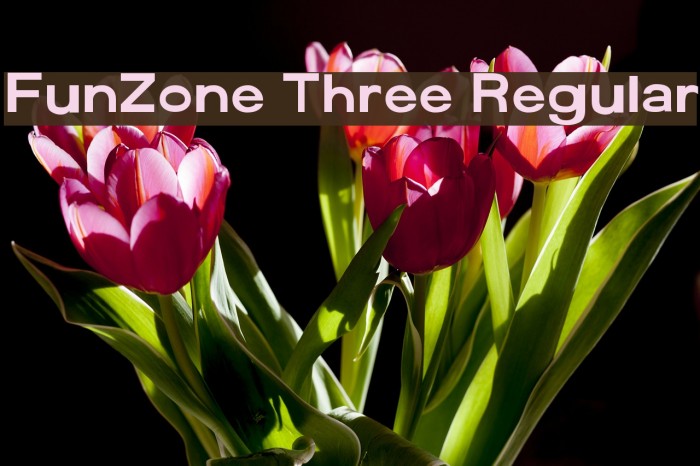 FunZone Three Regular Font examples
