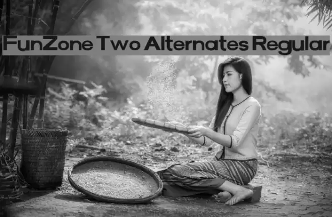 FunZone Two Alternates Regular Font examples