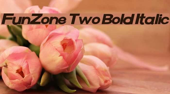 FunZone Two Bold Italic Font examples