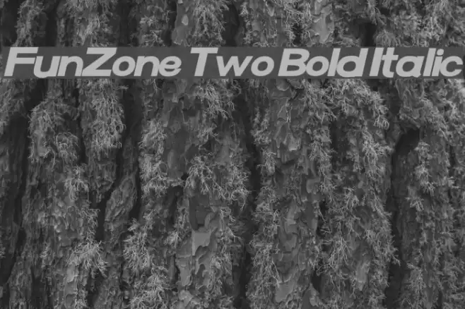 FunZone Two Bold Italic Font examples