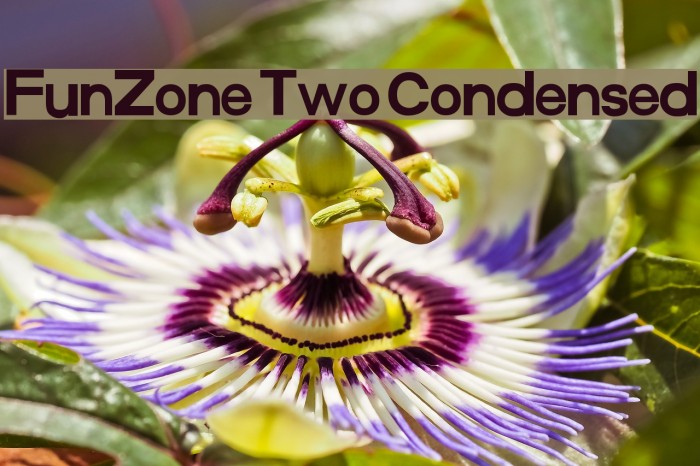 FunZone Two Condensed Font examples