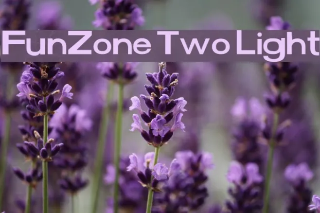 FunZone Two Light Example 1