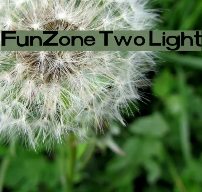 FunZone Two Light Example 2