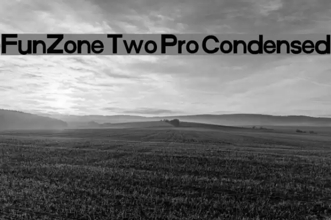 FunZone Two Pro Condensed Font examples