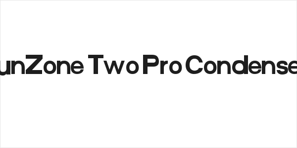 FunZone Two Pro Condensed Logo