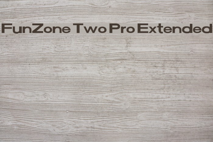 FunZone Two Pro Extended Example 1