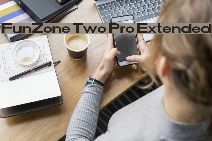 FunZone Two Pro Extended Example 2