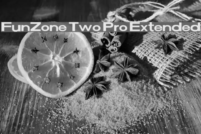 FunZone Two Pro Extended Font examples