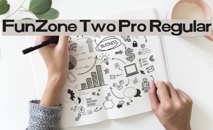 FunZone Two Pro Regular Example 1