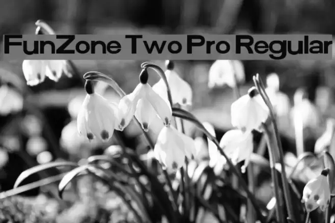 FunZone Two Pro Regular Font examples