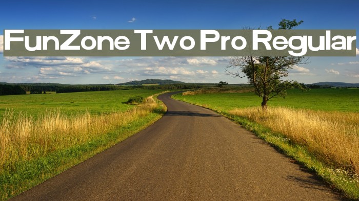 FunZone Two Pro Regular Example 3