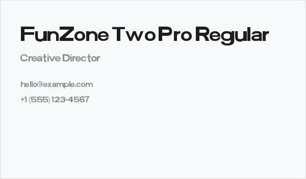 FunZone Two Pro Regular Business Card