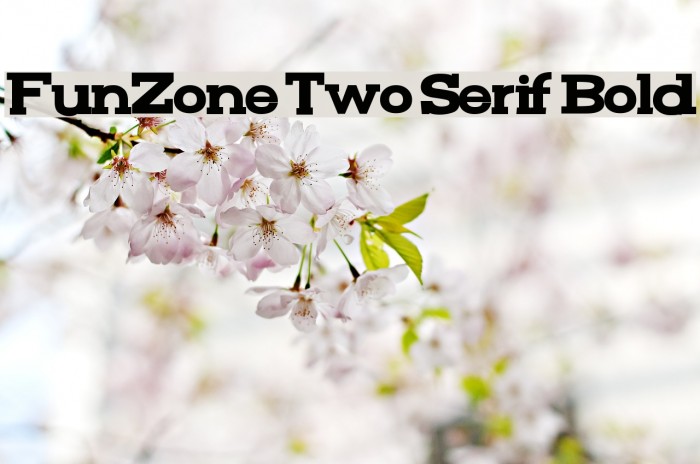 FunZone Two Serif Bold Font examples