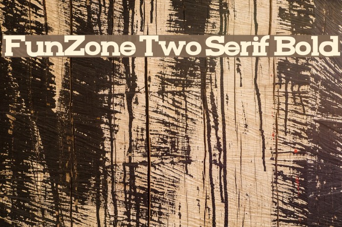 FunZone Two Serif Bold Font examples