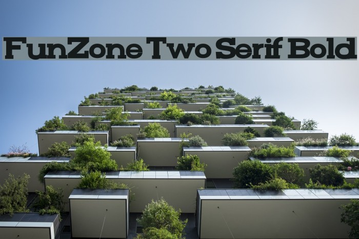FunZone Two Serif Bold Font examples