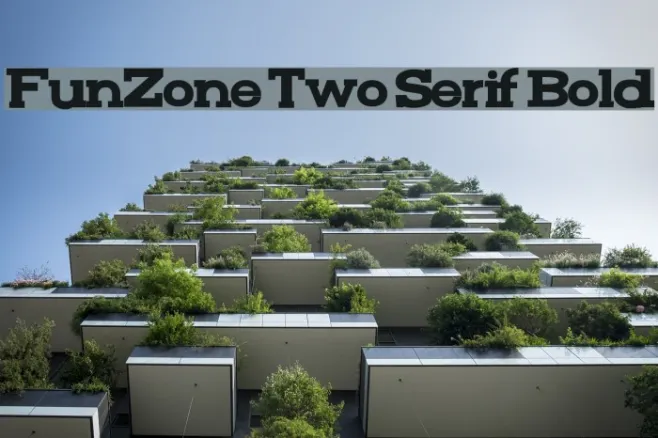 FunZone Two Serif Bold Example 3