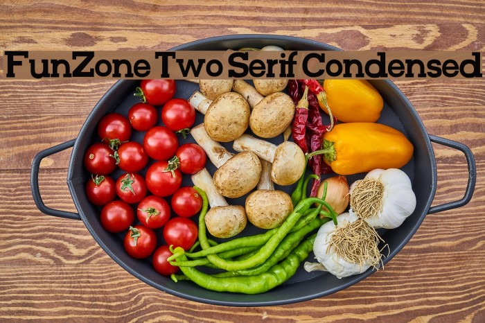 FunZone Two Serif Condensed Font examples