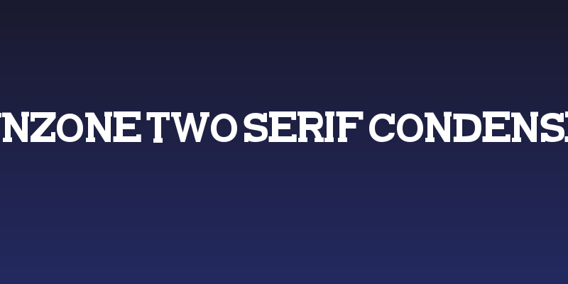 FunZone Two Serif Condensed Social Header
