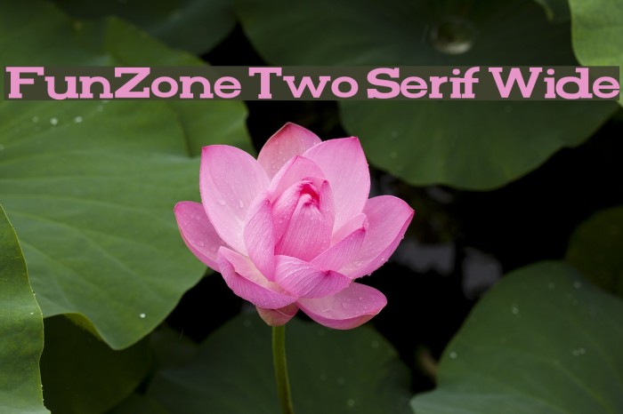 FunZone Two Serif Wide Font examples