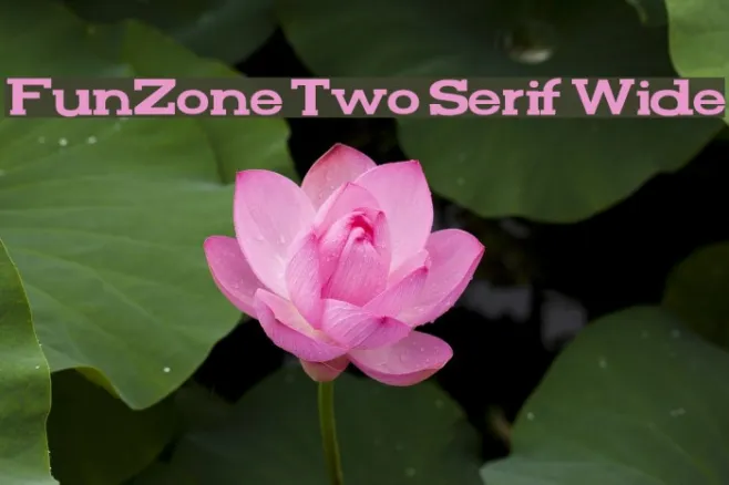 FunZone Two Serif Wide Example 1