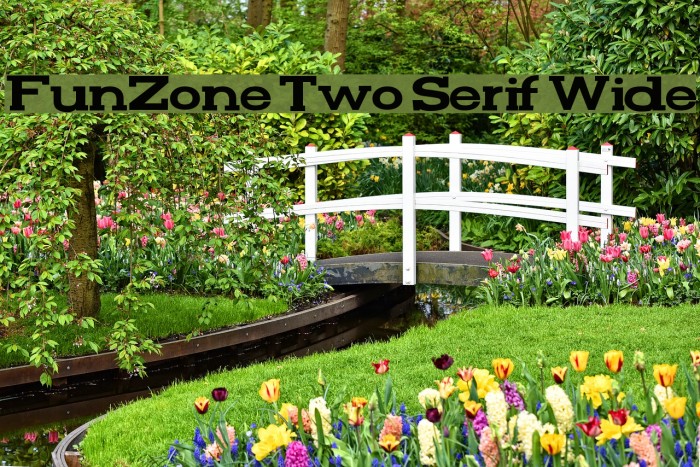 FunZone Two Serif Wide Font examples