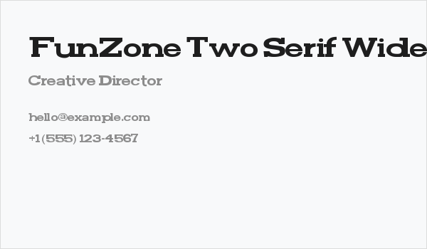 FunZone Two Serif Wide Business Card