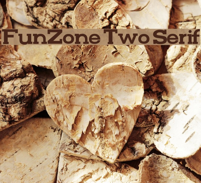 FunZone Two Serif Font examples
