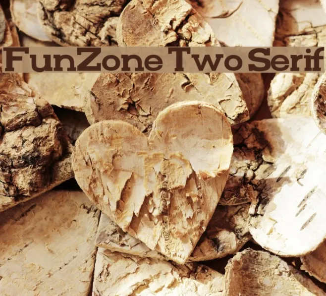 FunZone Two Serif Example 1
