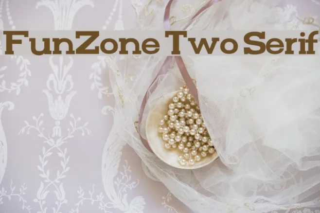 FunZone Two Serif Example 3