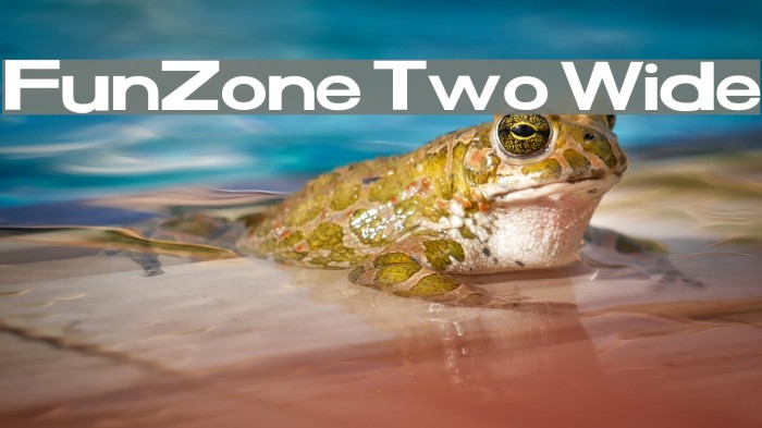 FunZone Two Wide Example 2