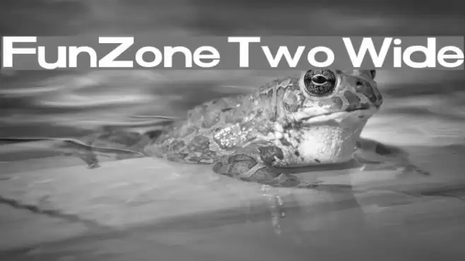 FunZone Two Wide Font examples