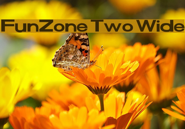 FunZone Two Wide Example 3