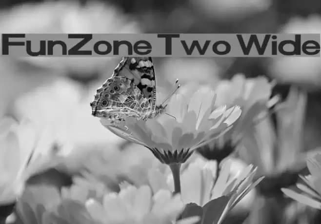 FunZone Two Wide Font examples