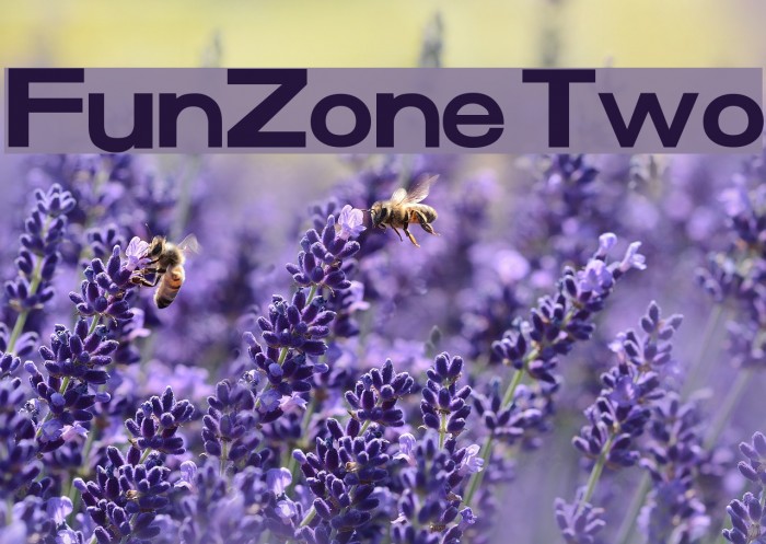 FunZone Two Font examples