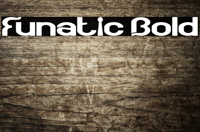 Funatic Bold Example 1