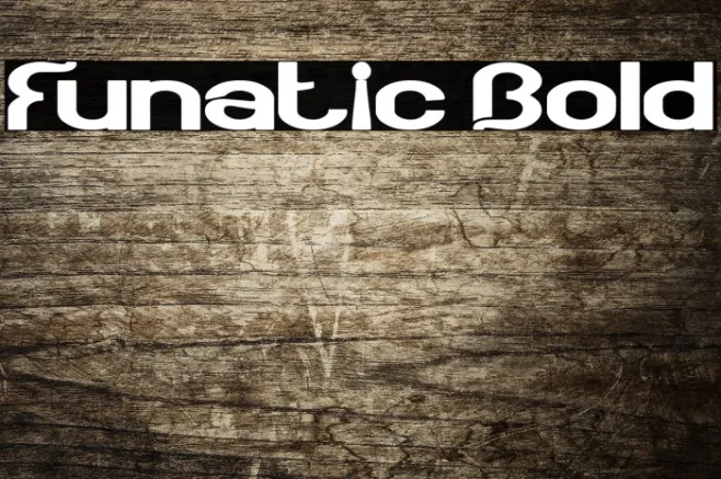 Funatic Bold Example 1
