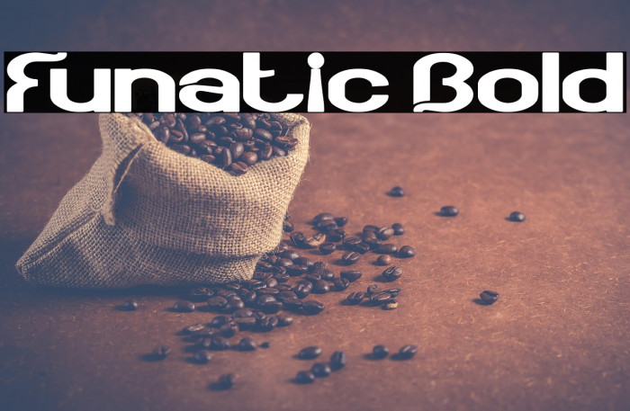 Funatic Bold Example 3