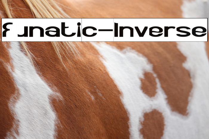 Funatic-Inverse Example 1